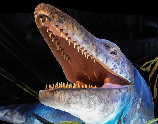 Feature: Why dinosaurs still matter