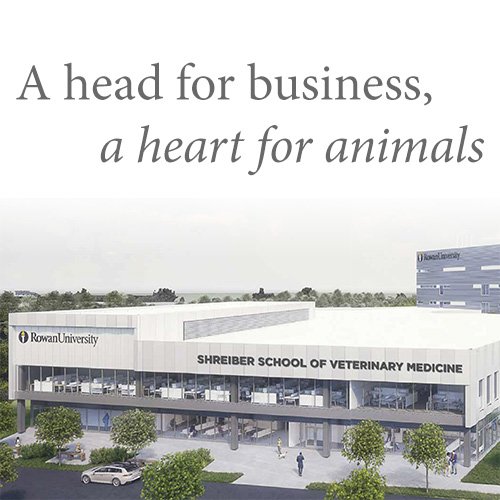Feature: A head for business, a heart for animals
